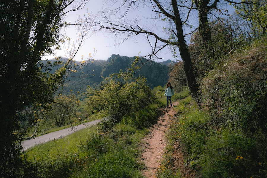 young woman walking in mountain forest beautiful 2026 03 16 05 05 21 utc